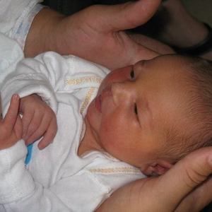 Meet your Posher, Shane